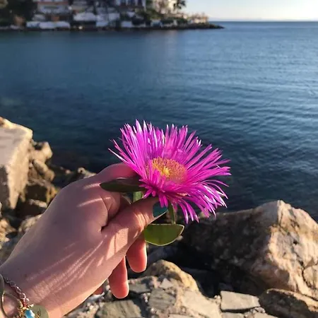 Πανσιόν Pansion Panorama Skála Marión